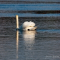 034_Biebrza - kwiecien 2011